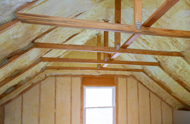 Best Specialized Insulation Services in Rapid City, SD