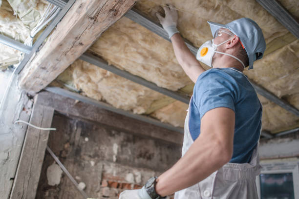 Best Cellulose Insulation in Rapid City, SD